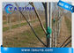 Bâton UV de Rod For Plant Tree Support Polonais de fibre de verre de Pultruded d'inhibiteur